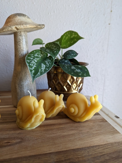 Sculpted Beeswax Candles