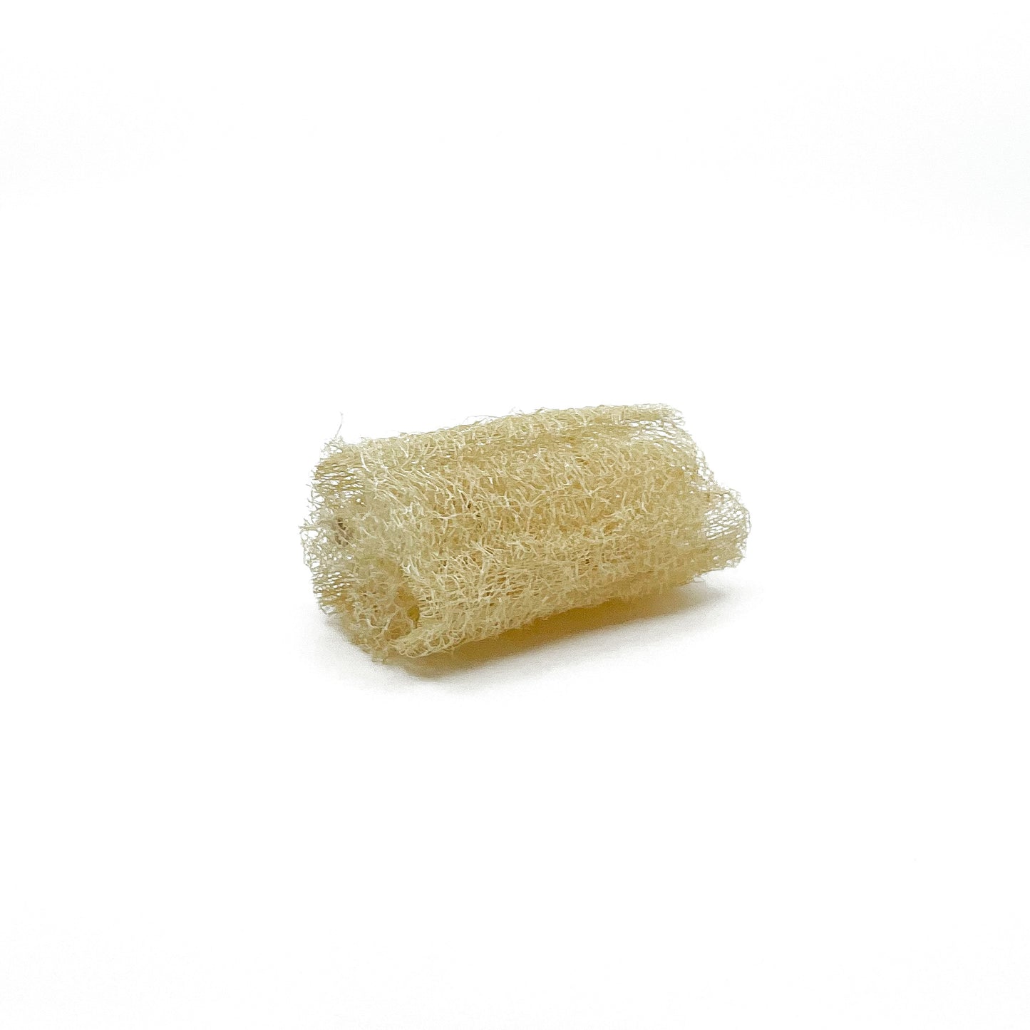 Loofah Sponge