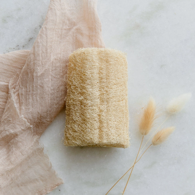 Loofah Sponge