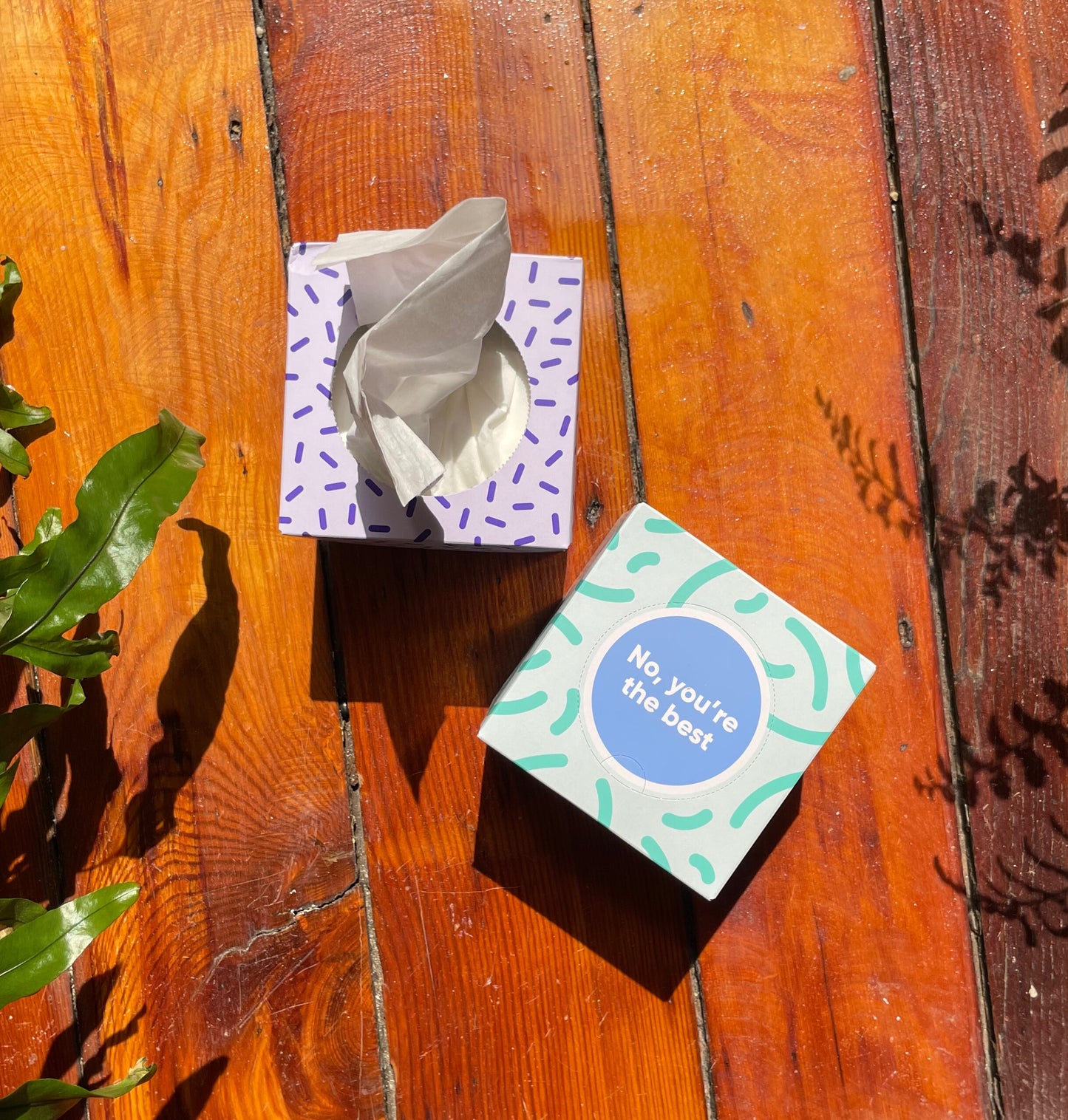 Forest Friendly Tissues