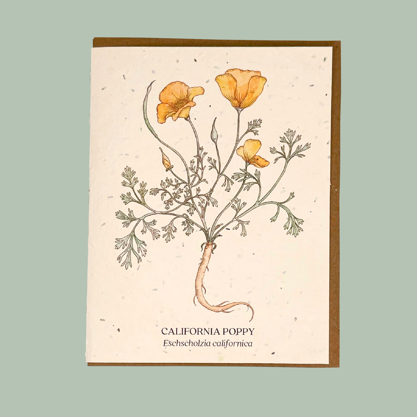 California Poppy Seed Card
