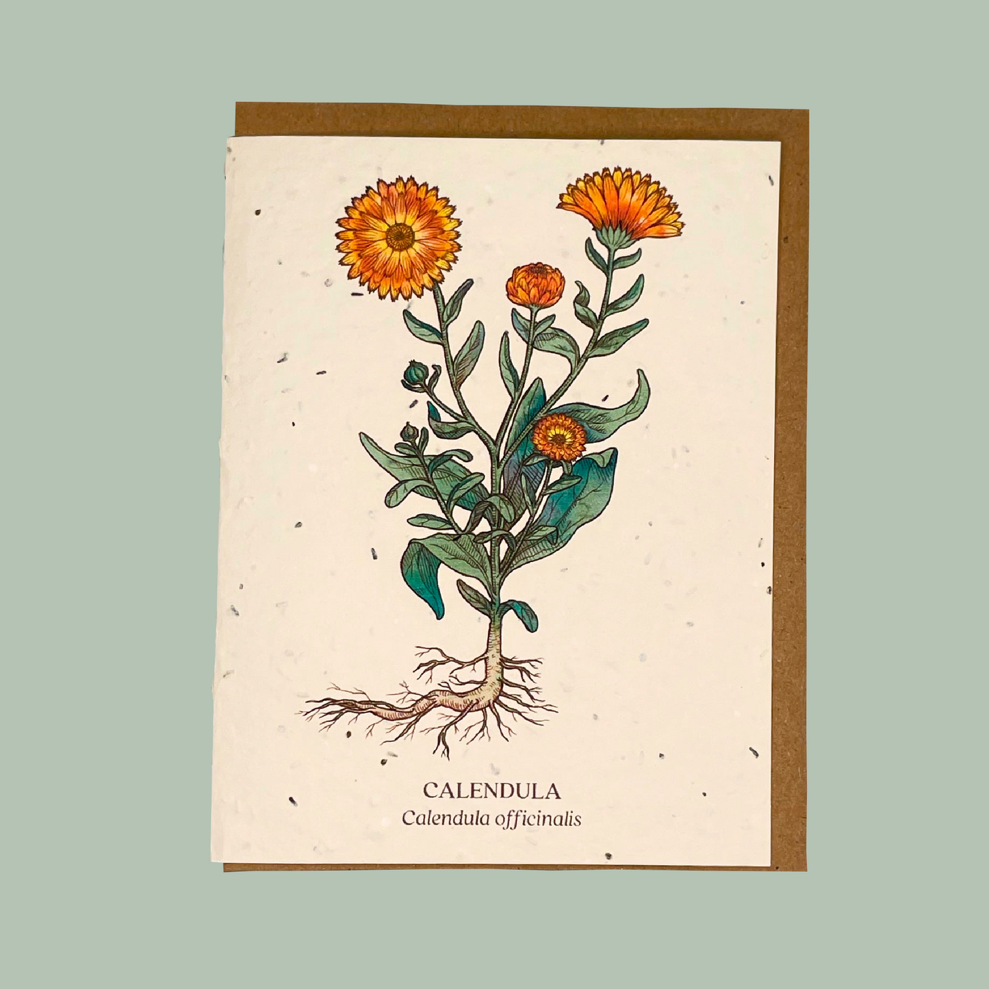 Calendula Seed Card