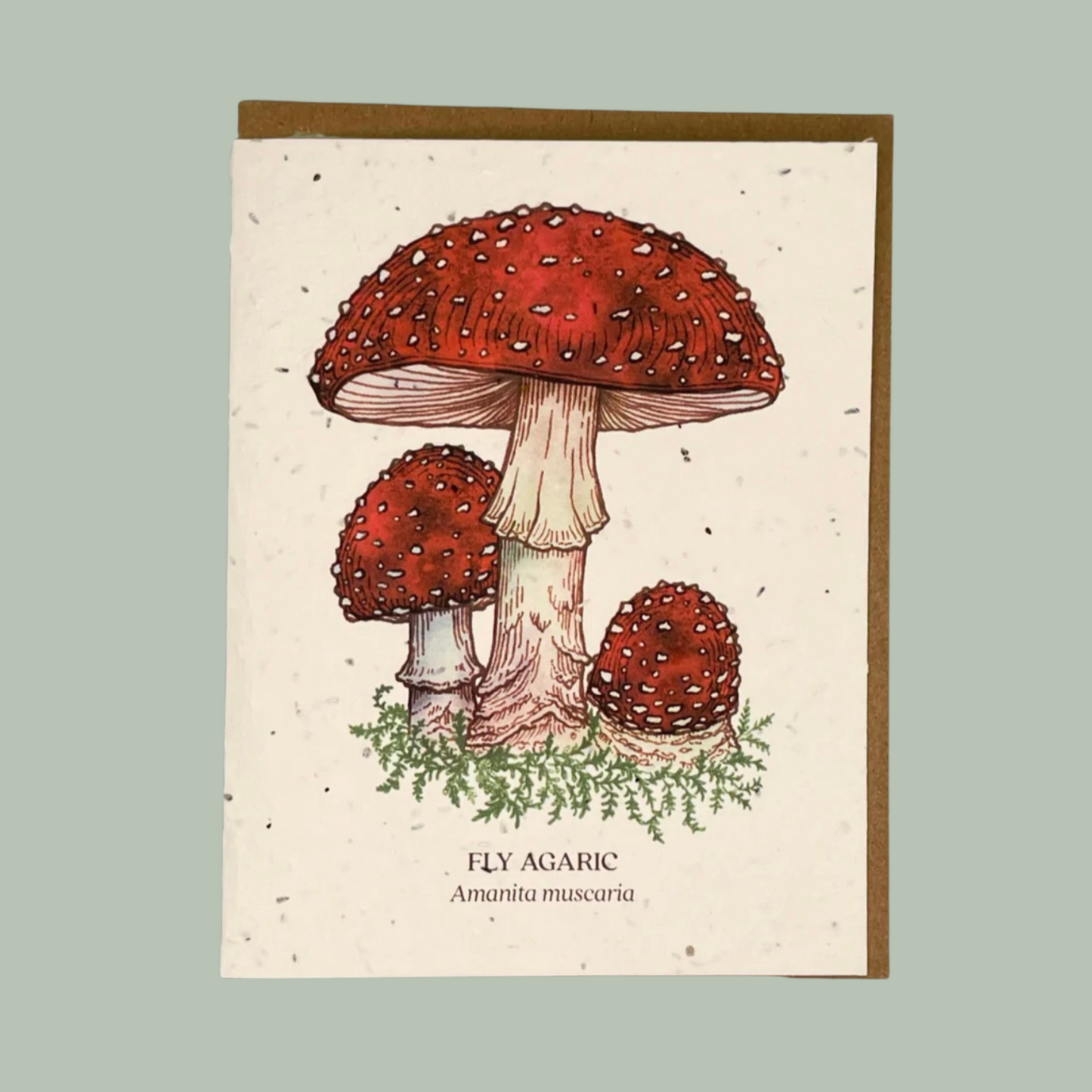 Fly Agaric Seed Card