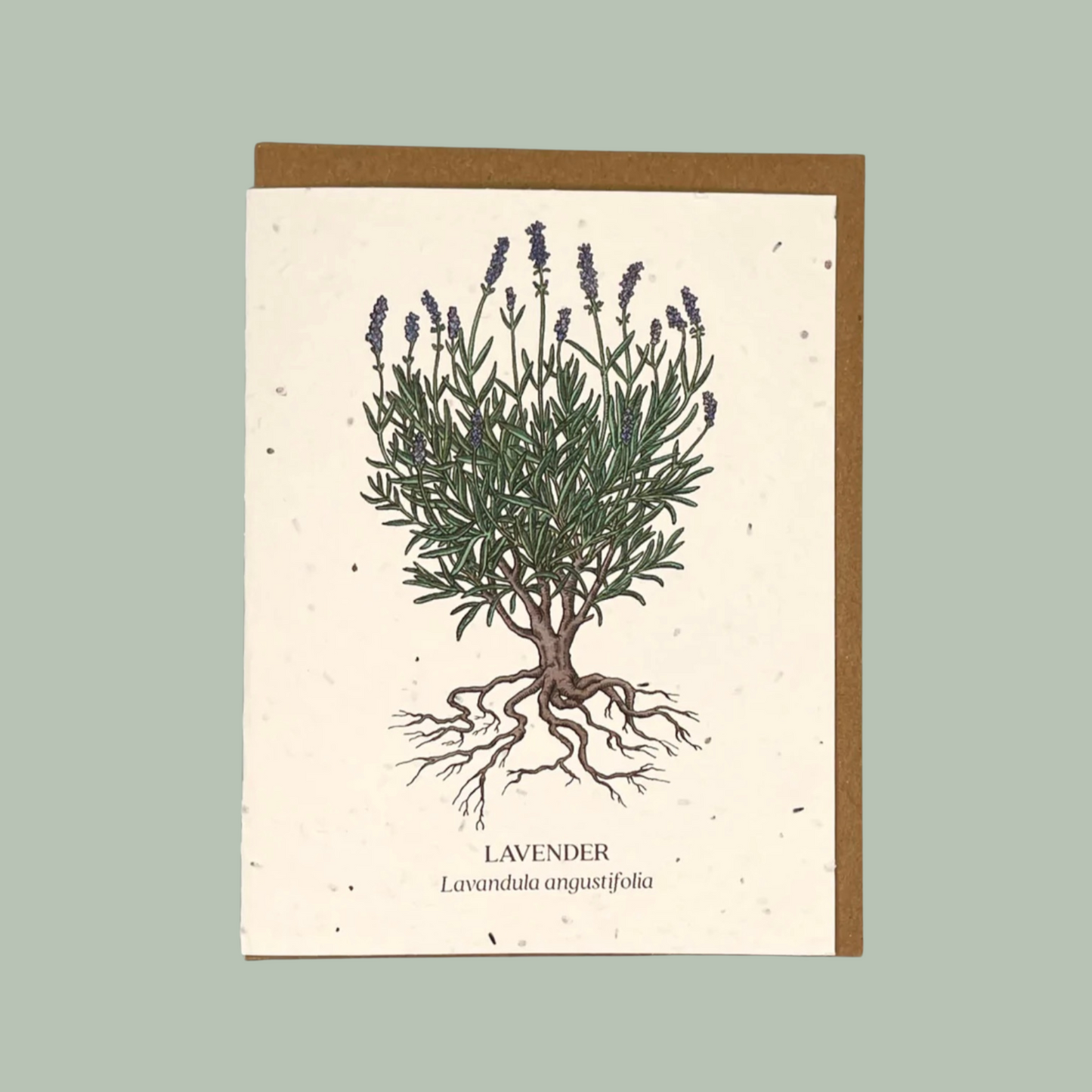 Lavender Seed Card