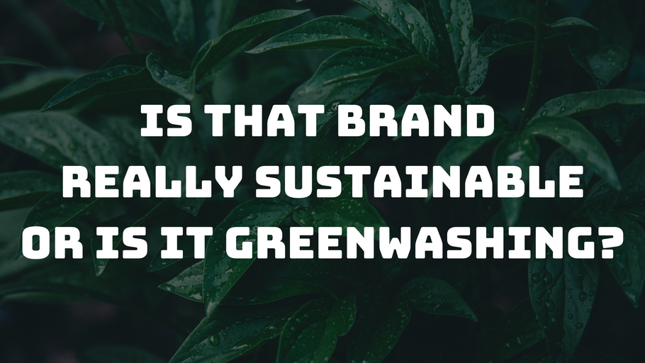 Is that brand really sustainable, or are they using greenwashing as a disguise?
