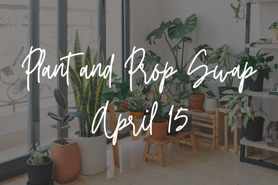 Plant and Prop Swap