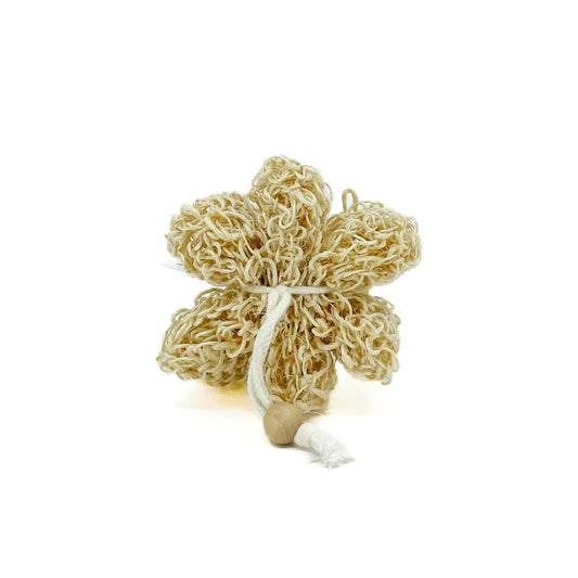 Shower Flower/Bath Sponge