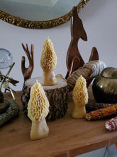 Load image into Gallery viewer, Sculpted Beeswax Candles
