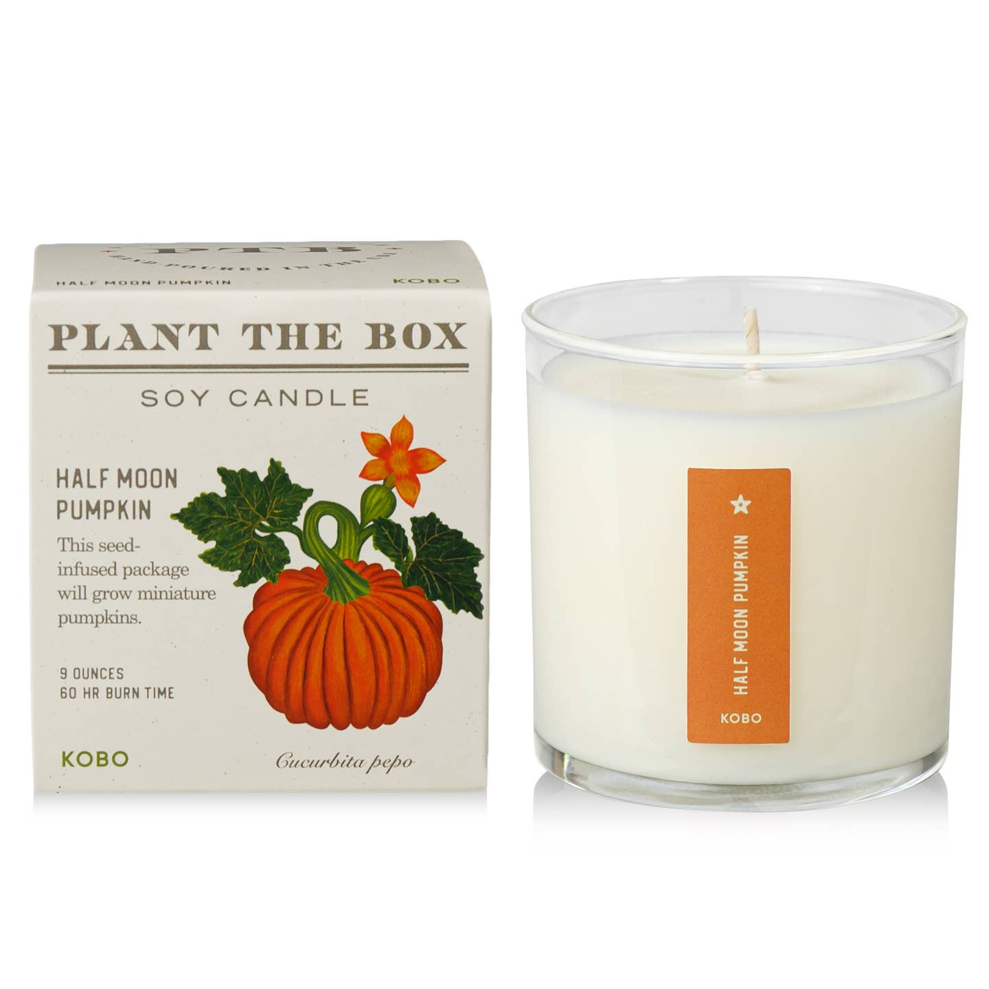Plant the Box Soy Candle