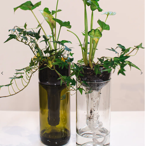 Upcycled Glass Self-Watering Planter
