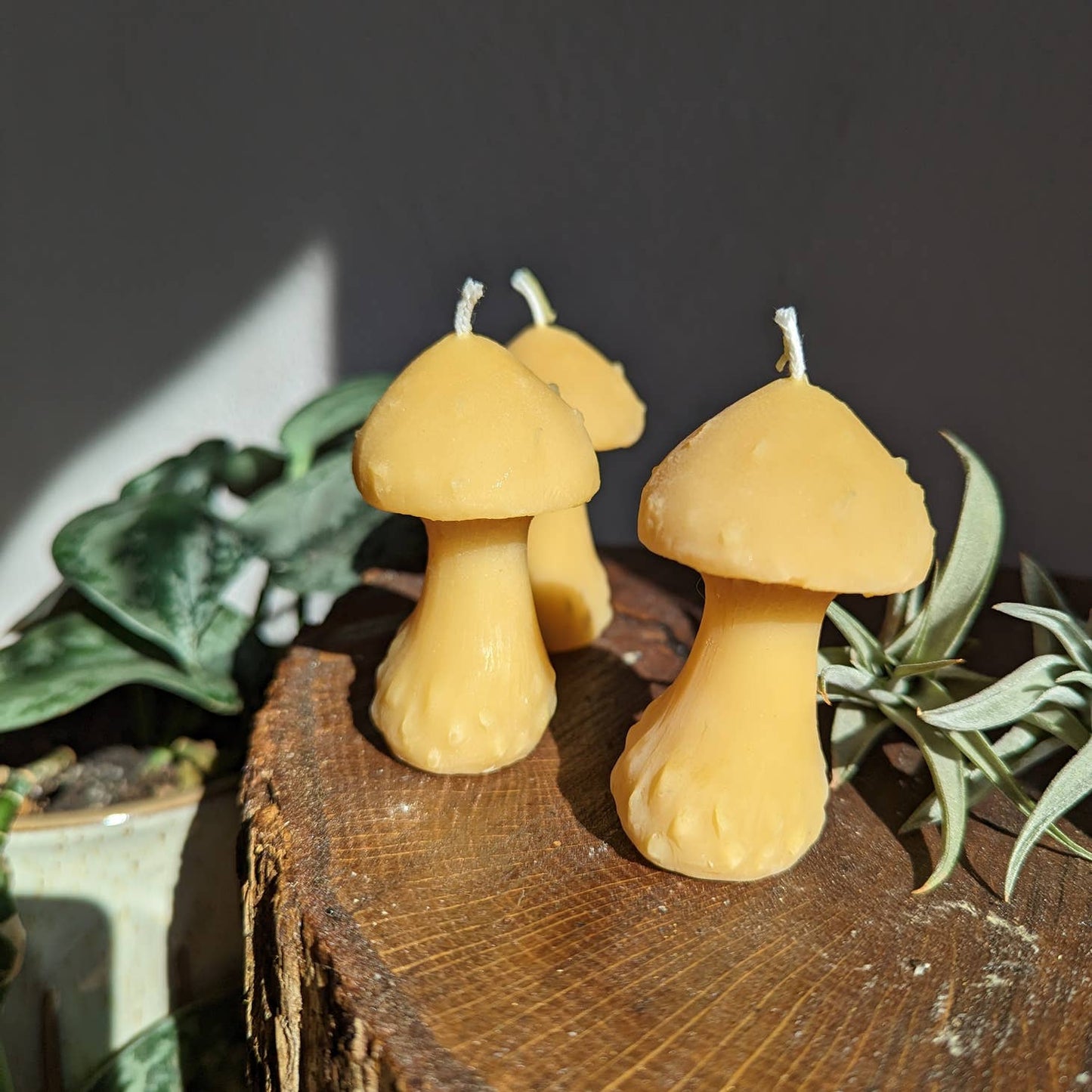Sculpted Beeswax Candles