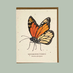 Monarch Butterfly Seed Card