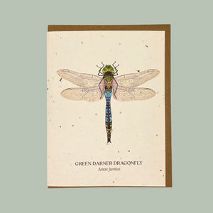 Green Darner Dragonfly Seed Card