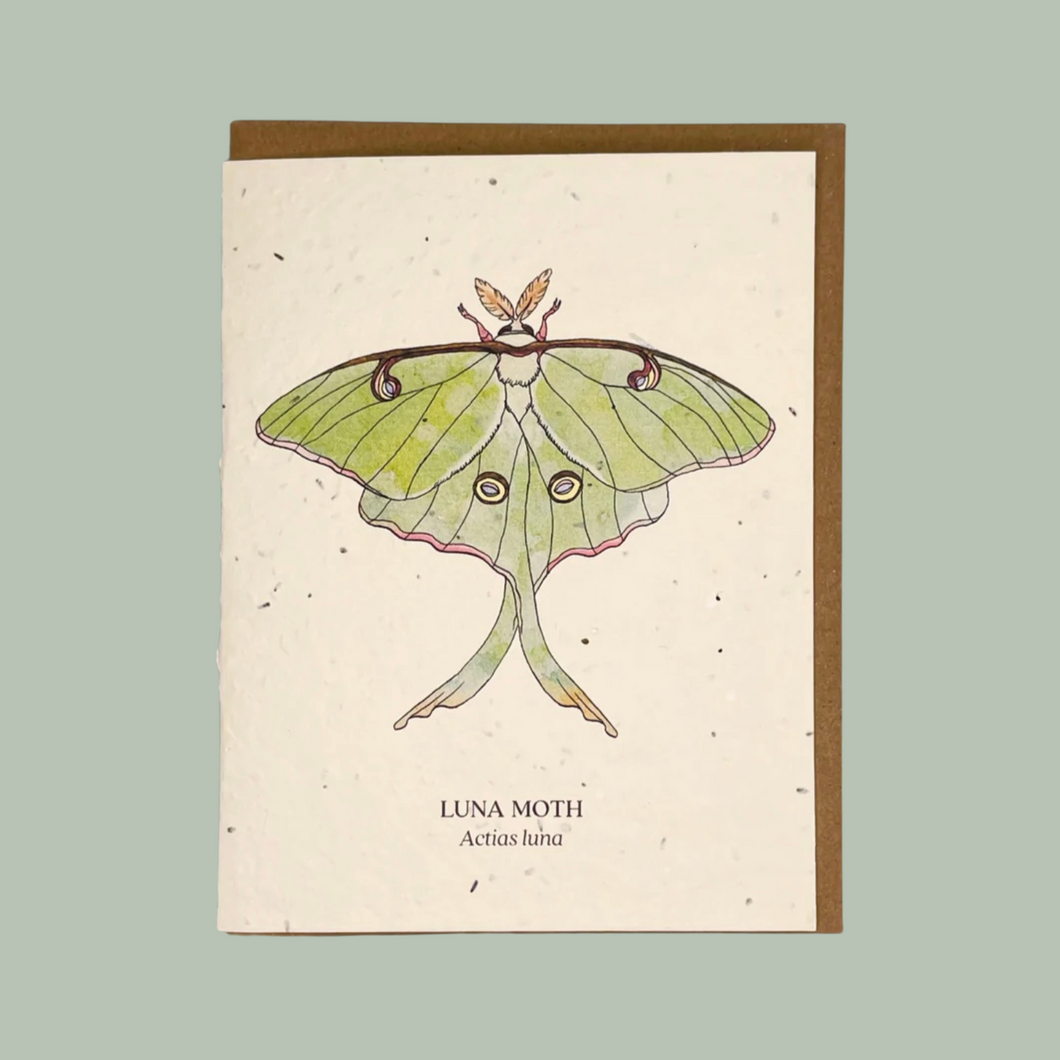 Luna Moth Seed Card