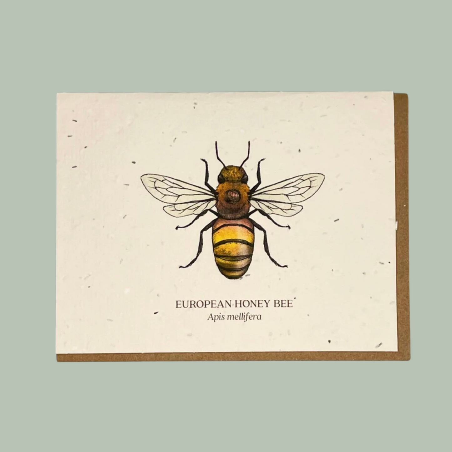 European Honey Bee Seed Card